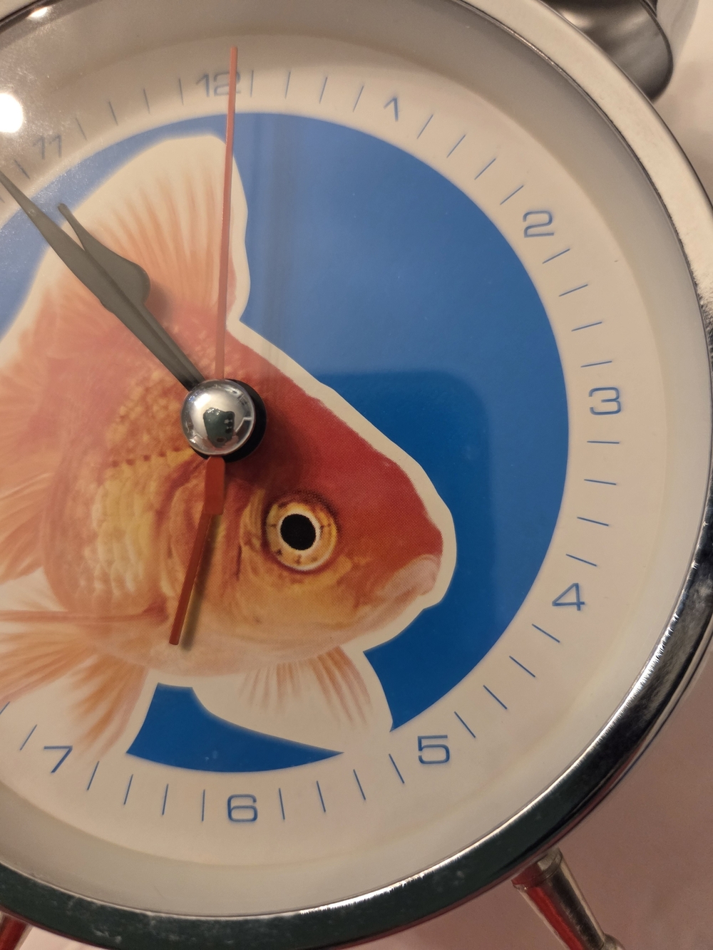 Goldfish Alarm Clock - Picture 5 of 6